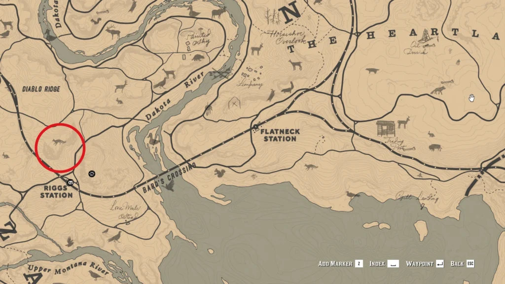 RDR2 High Stakes treasure hunter stranger location near Riggs Station