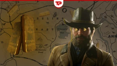 All RDR2 Gold Bar Locations