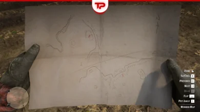 Mended Map RDR2 guide
