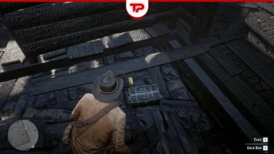 RDR2 Braithwaite Manor Gold Bar Location Guide