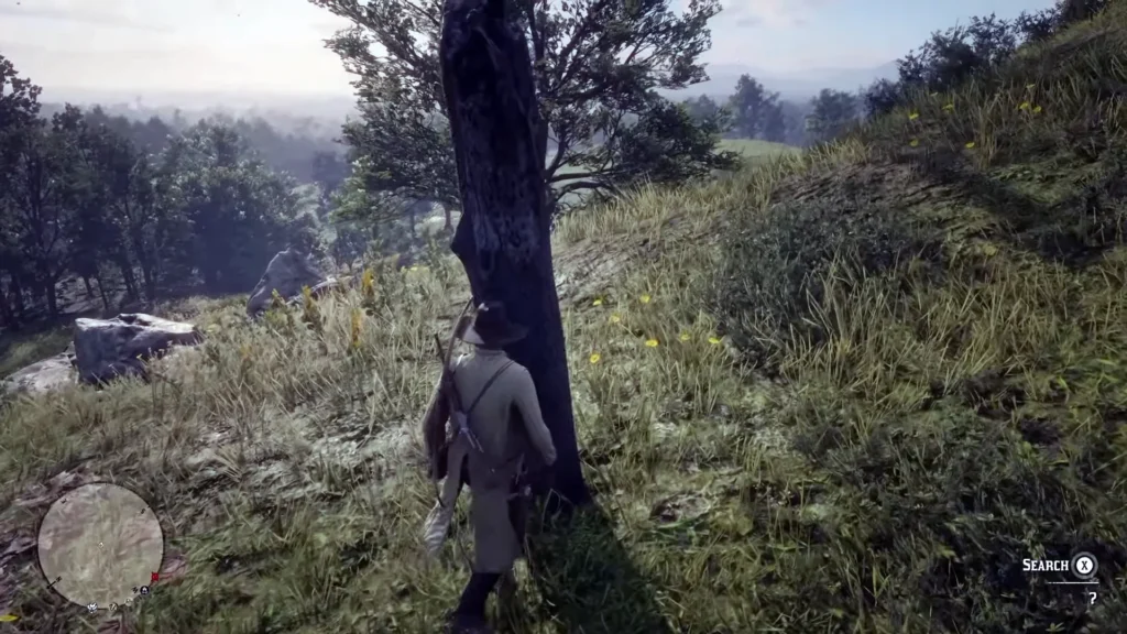 RDR2 Poisonous Trail Map 1 Treasure Location (1)33333