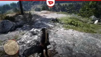 RDR2 Sketched Map Treasure Location Guide