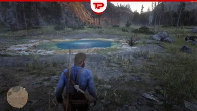 RDR2 The Jack Hall Gang Map 2 Location