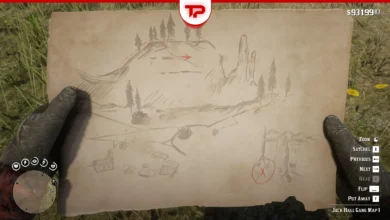 RDR2 The Jack Hall Gang Map Guide