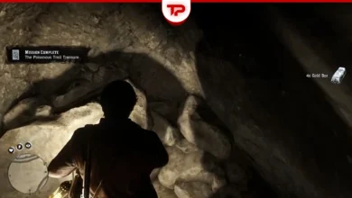 RDR2 The Poisonous Trail Map 3 Treasure Location
