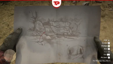 RDR2 The Poisonous Trail Treasure Complete Walkthrough