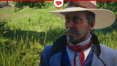 RDR2 buy the jack hall gang map 1 from maximo