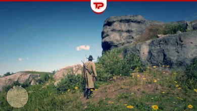 The Poisonous Trail Map 1 Treasure Location