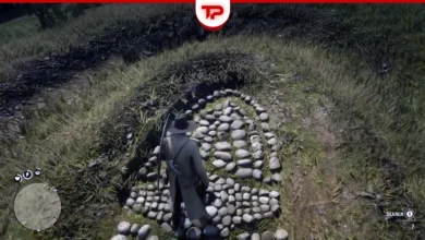 The Poisonous Trail Map 2 Treasure Location