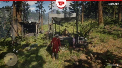 All Trapper Locations in RDR2