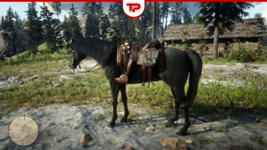 All Trapper Saddles Complete Guide