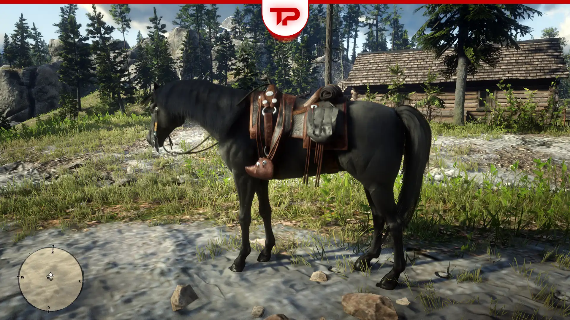 All Trapper Saddles Complete Guide
