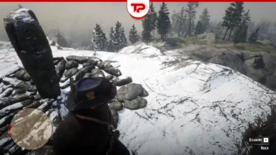 RDR2 The Landmarks of Riches Map 4 Guide