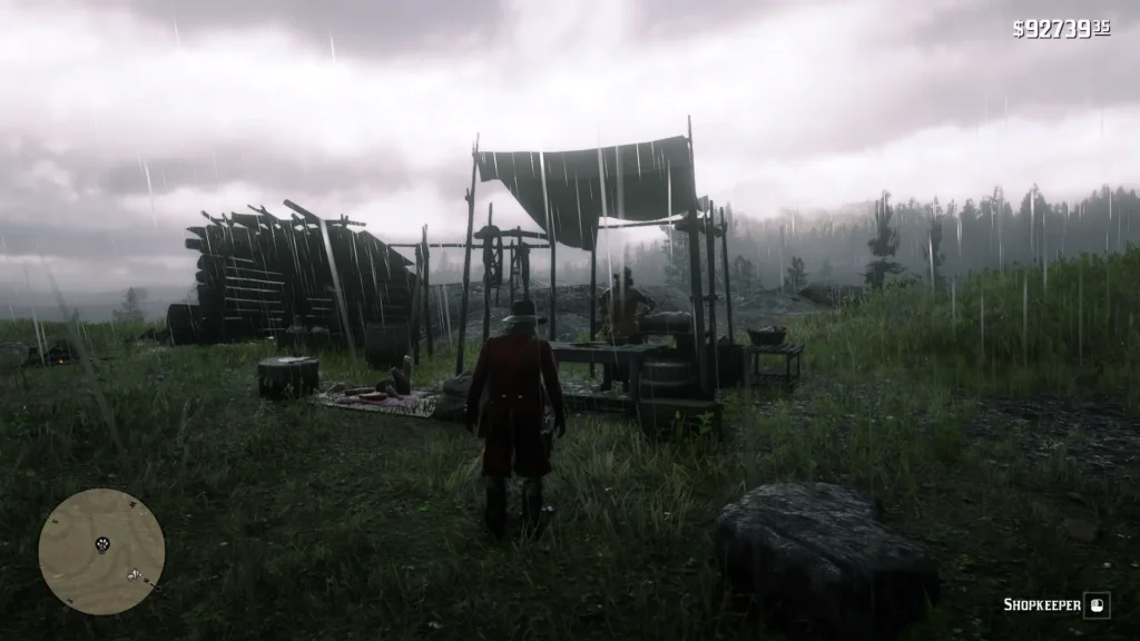 Riggs Station trapper rdr2