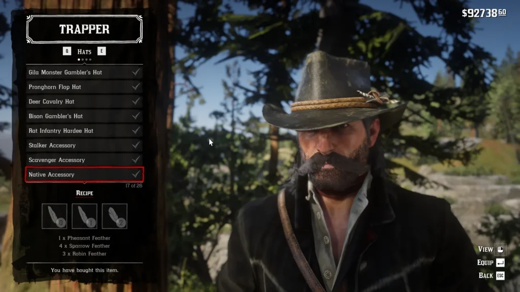 RDR2 Native Accessory