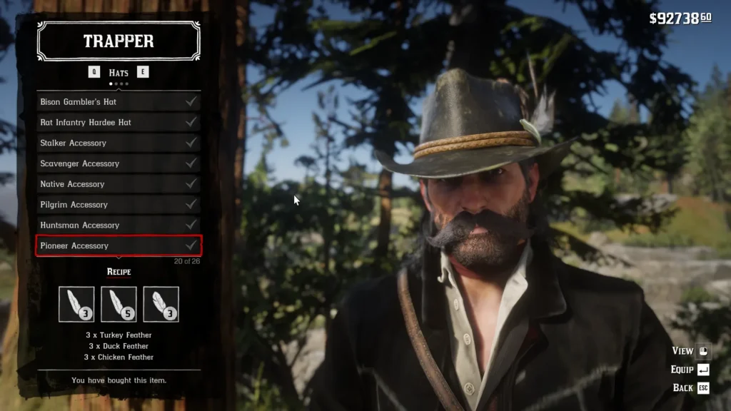 RDR2 Pioneer Accessory