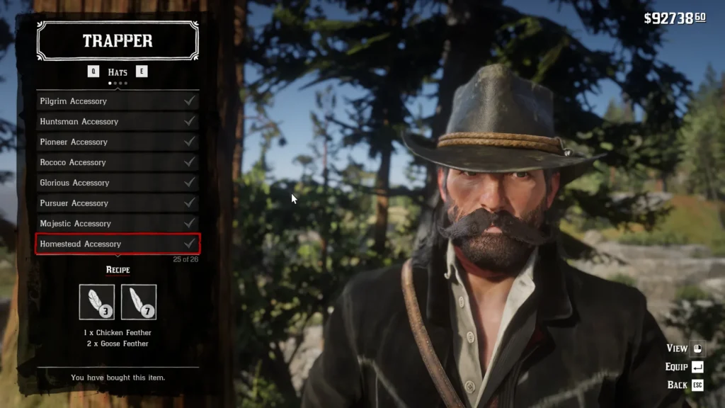 RDR2 Homestead Accessory