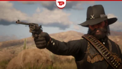 All RDR2 Revolvers and Pistols in Story Mode