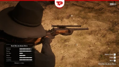 All RDR2 Rifles in Story Mode
