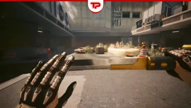 Cyberpunk 2077 Best Katanas