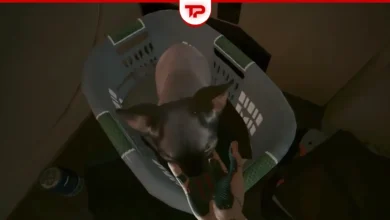 Cyberpunk 2077 Feed Teh Cat Quest
