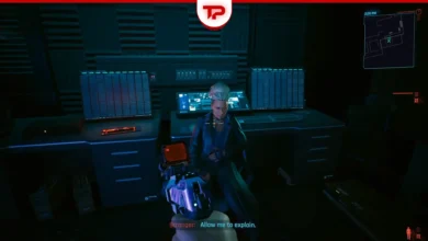 Cyberpunk 2077 Money For Nothing Quest