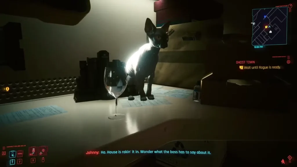 Nibbles the cat Cyberpunk 2077