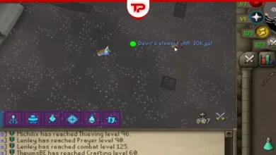 OSRS Devils Element