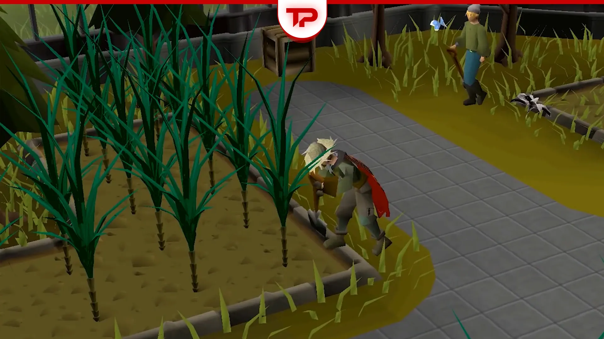 OSRS Leagues 6 Money Making