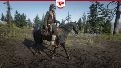 RDR2 Trapper Clothing Guide