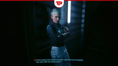 Cyberpunk 2077 Shot by Both Sides Quest