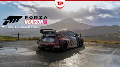 Forza Horizon 6 Bowie Knife 99 Explained