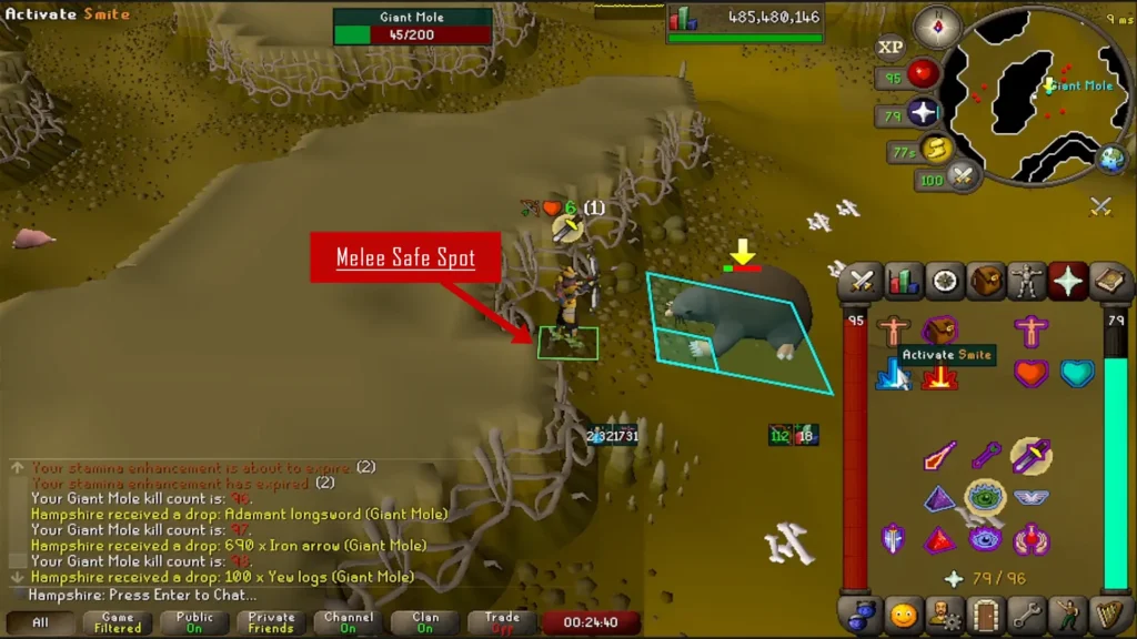 How to Get the Immaculate Mole Skin