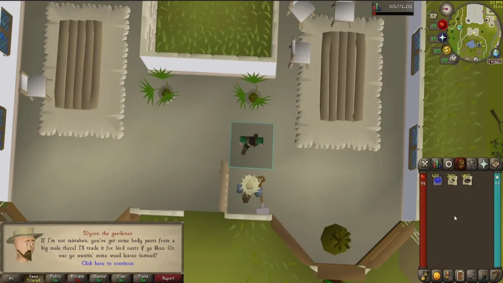 How to Use the Immaculate Mole Skin OSRS and Trade Extra Skins to Wyson