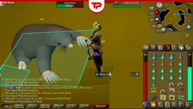OSRS Immaculate Mole Skin