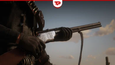 RDR2 Weapon Guide