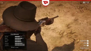 All RDR2 Repeaters in Story Mode