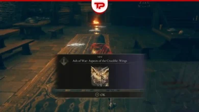 Ash of War Aspects of the Crucible Wings