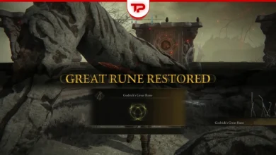 Divine Tower of Limgrave – Godrick’s Great Rune