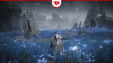 Elden Ring