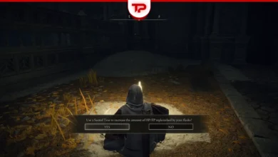 Elden Ring Sacred Tear Locations