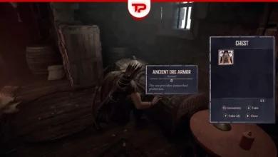 Gothic Remake Ore Armor Early Guide (1)