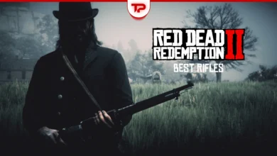RDR2 Best Rifles in Story Mode