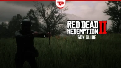 RDR2 Bow Guide