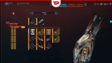 Cyberpunk 2077 Hands Cyberware