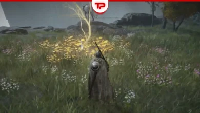 Elden Ring Golden Seed locations