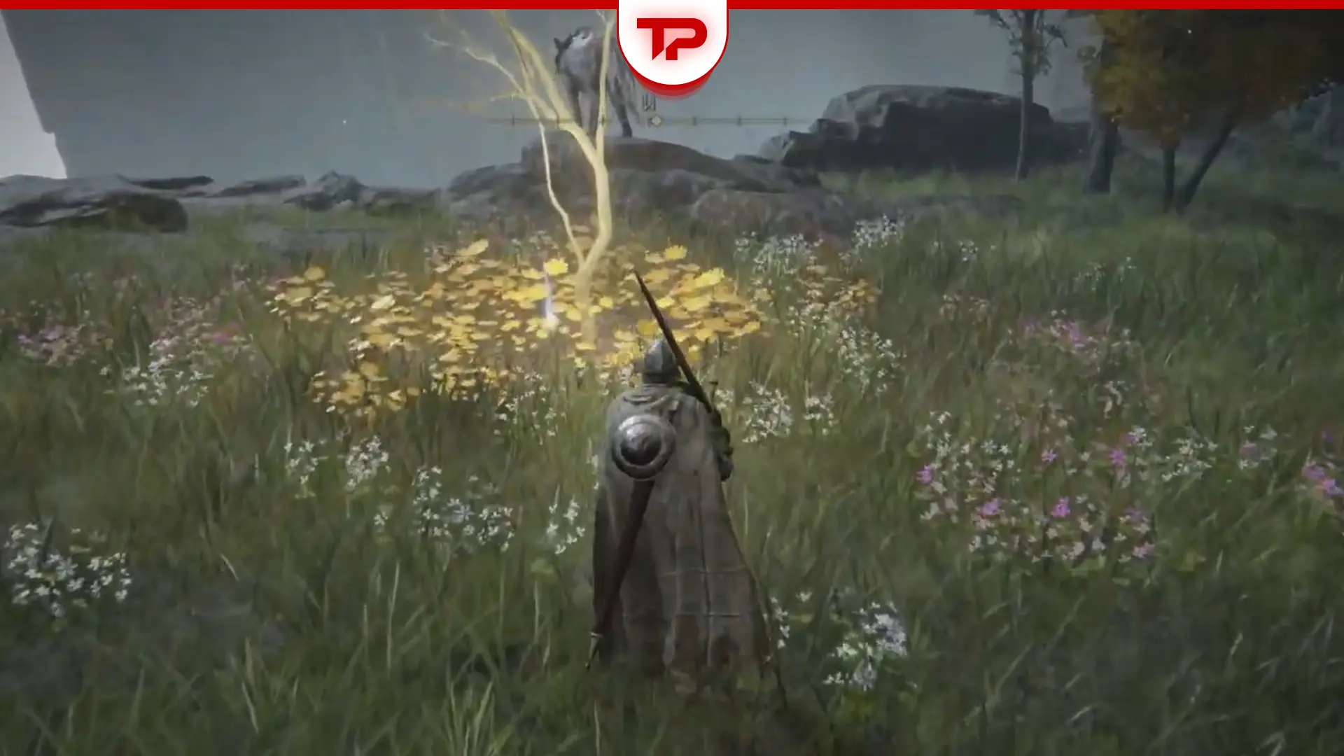 Elden Ring Golden Seed locations