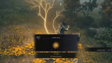 Elden Ring Limgrave Golden Seed Locations
