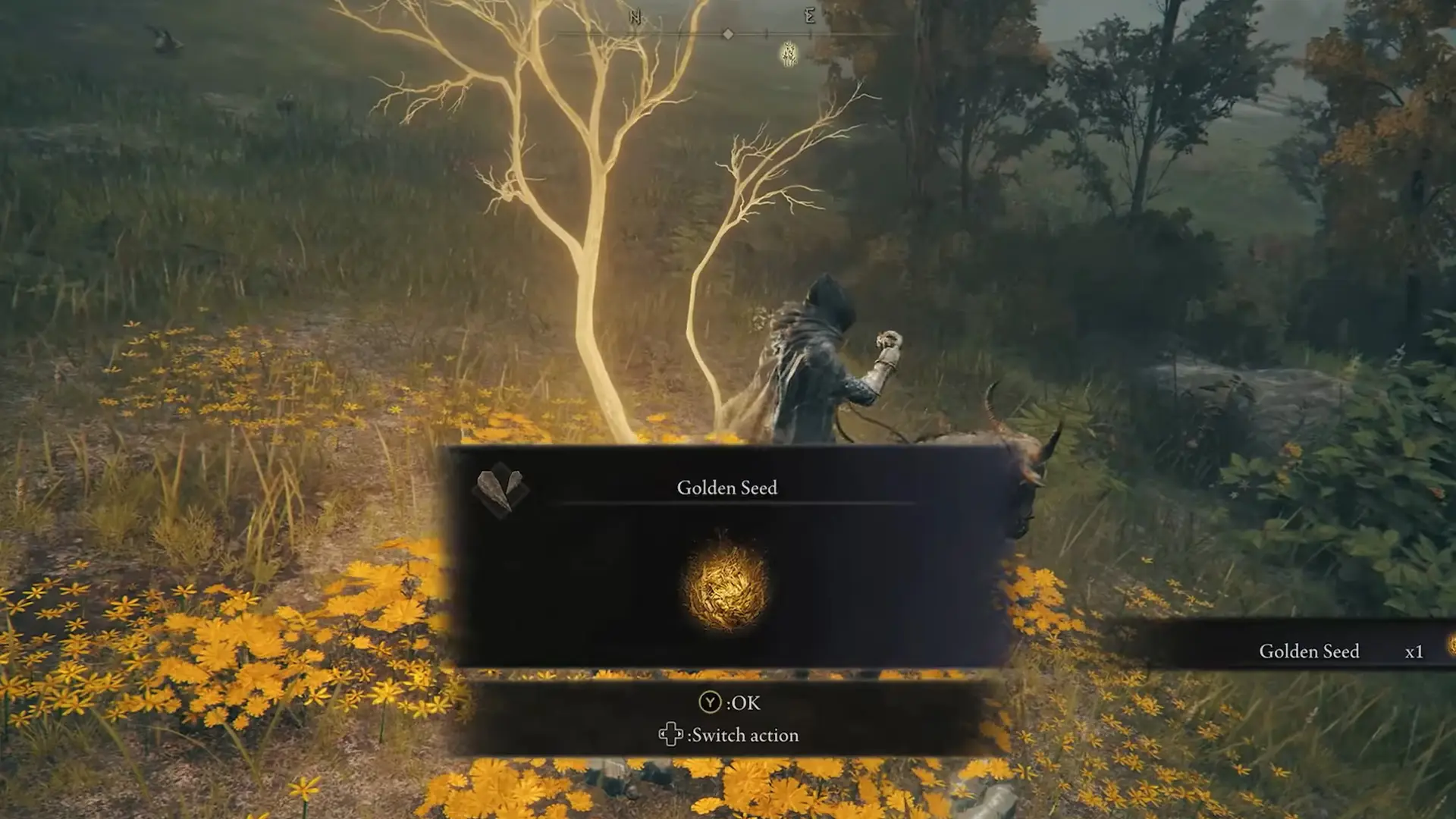 Elden Ring Limgrave Golden Seed Locations