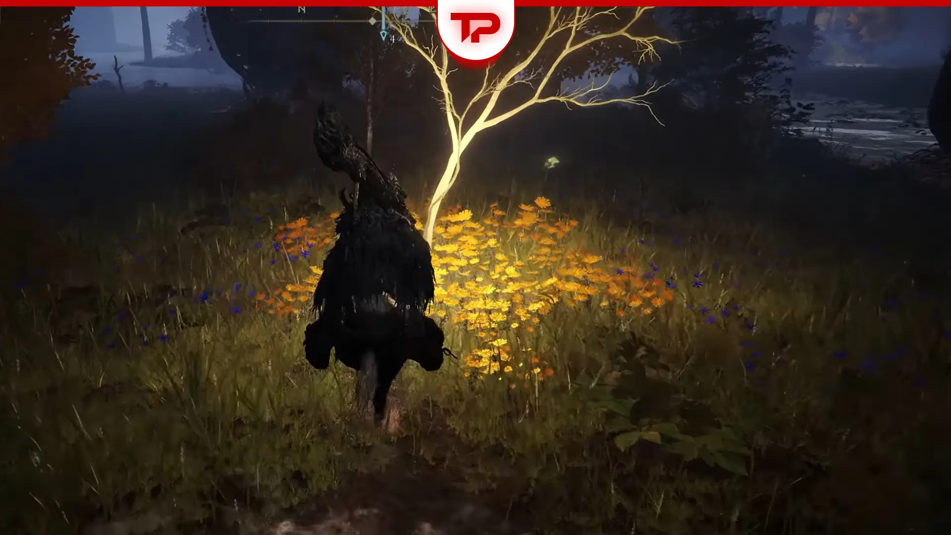 Elden Ring Liurnia Golden Seed Locations